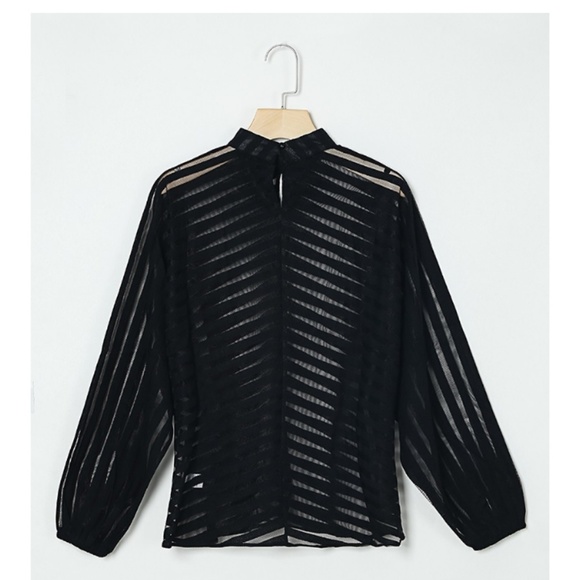 Beautifully crafted sheer top - Picture 1 of 3